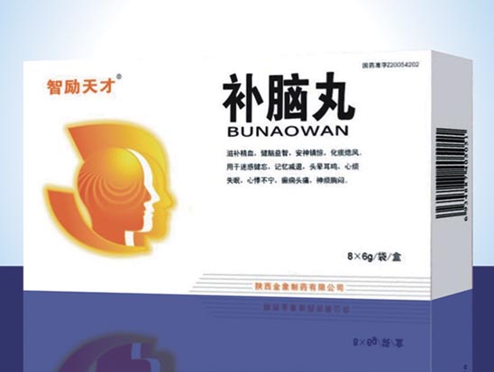 补脑丸.jpg